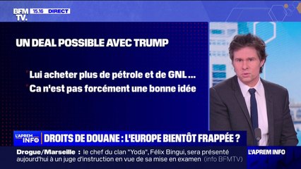 Investiture de Donald Trump: quels sont les secteurs en Europe qui pourraient être impactés par une hausse des droits de douane américains