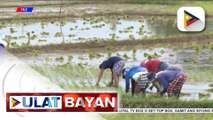 Iba't ibang mga proyekto na nakumpleto noong 2024, ipinagmalaki ng NIA; Mas maraming ani para sa seguridad ng pagkain at matatag na supply ng kuryente, inaasahan ng NIA ngayong 2025