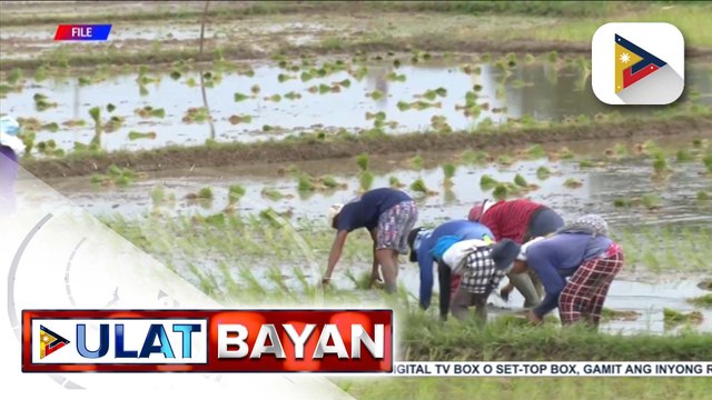 Iba't ibang mga proyekto na nakumpleto noong 2024, ipinagmalaki ng NIA; Mas maraming ani para sa seguridad ng pagkain at matatag na supply ng kuryente, inaasahan ng NIA ngayong 2025