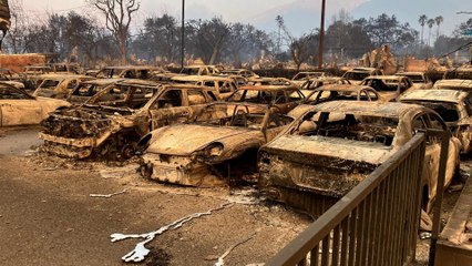 Small business owner still in shock after losing "everything" in LA fires