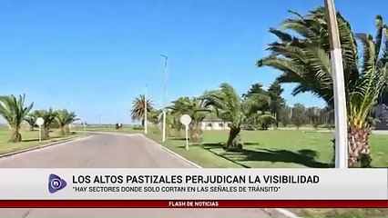 RECLAMOS POR LA CONDICIÓN DE LA RUTA 226