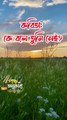 কবিতা। কে বলে তুমি নেই?। নওশিন রাফিয়াত লায়লা। Pancha Anukabyo #panchaanukabyo #Romantic #KHOLA_CHITHI #reelschallenge
