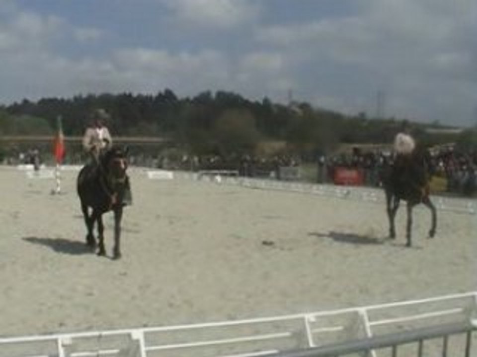 CHEVAL_DE_BATAILLE