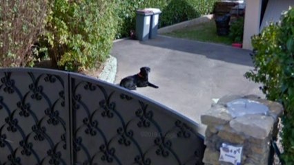 Ils se replongent dans leur passé grâce à Google « Street View »