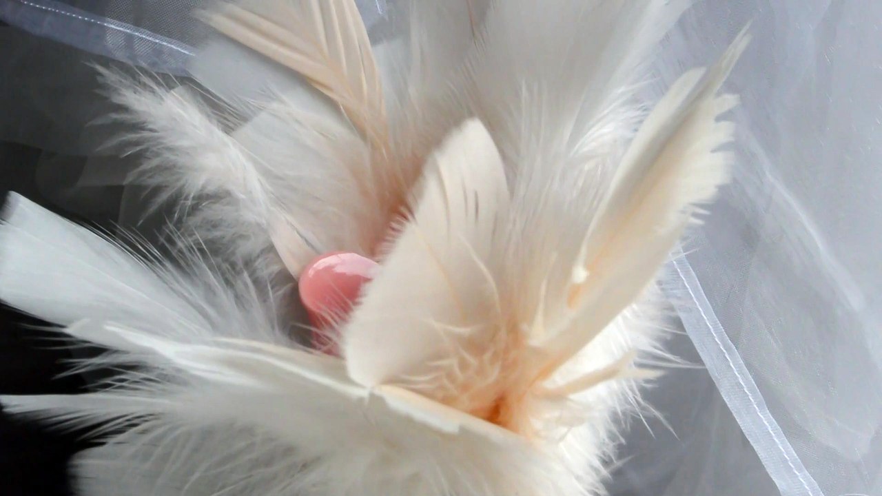 Fashion decoration art