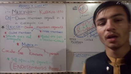 Mitochondria complete details class 11