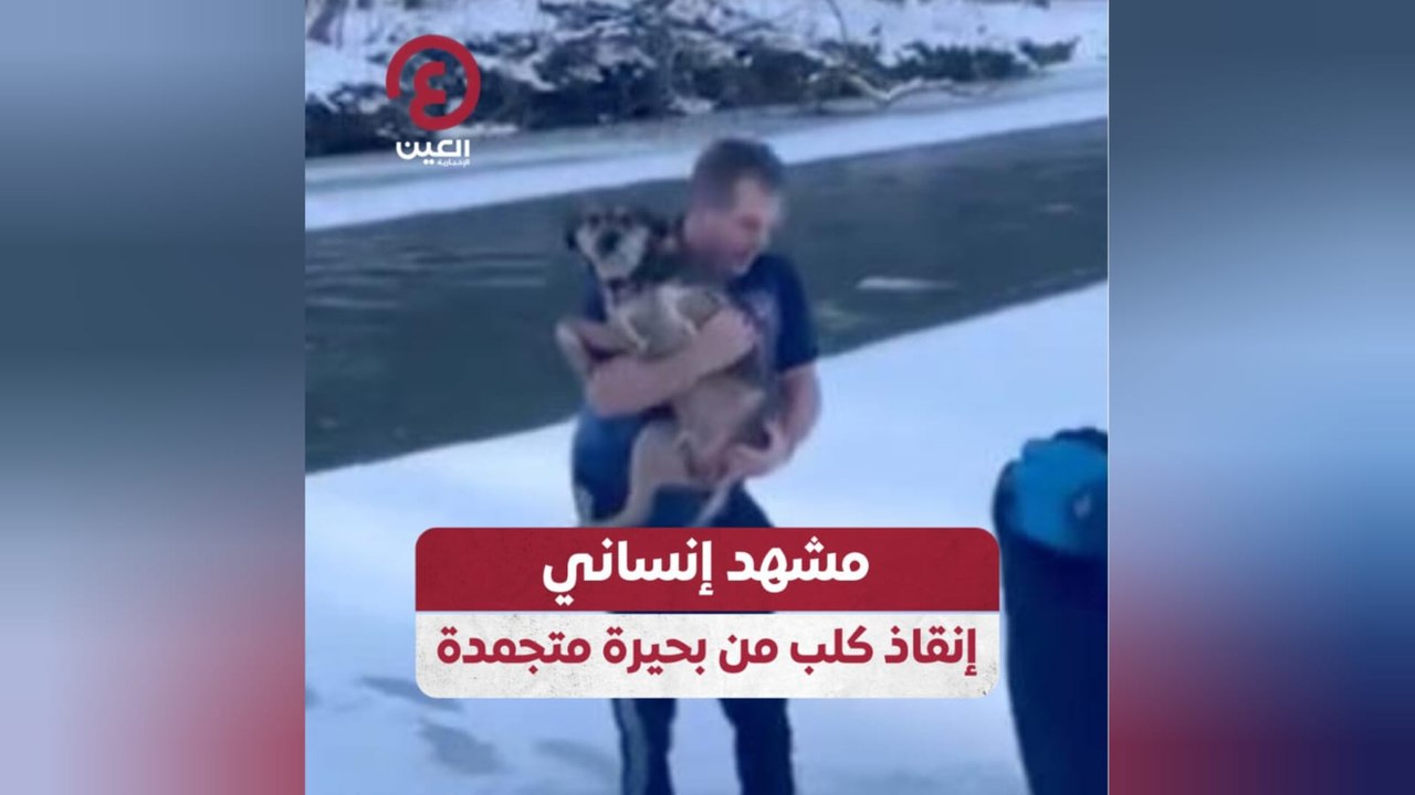 مشهد إنساني.. إنقاذ كلب من بحيرة متجمدة