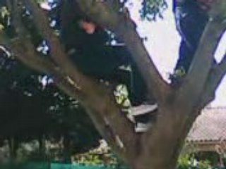 faustine en action xD