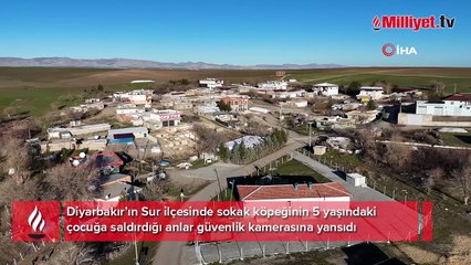 Köpeğin çocuğa saldırdığı anlar güvenlik kamerasına yansıdı