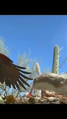 Join the Journey: Discovery