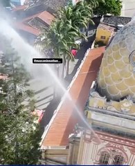 Resgate mal sucedido dterminacom morte de gato; saiba detalhes