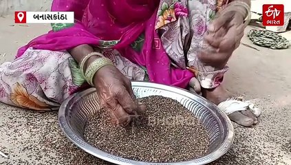 આઝાદીના 75 વર્ષે પણ ગુજરાતનું આ ગામ અંધારામાં, બાજુમાં સોલર પ્લાન્ટ પણ ઘરો વીજળી વગરના