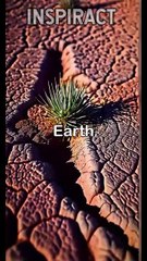 Rainless for 2 MILLION Years What's the REAL Reason Behind It