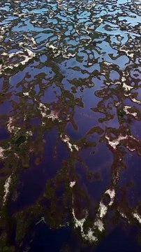 Chuvas criam 'piscinas naturais' nas dunas da praia da Joaquina, em Florianópolis
