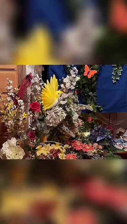 Ein Herzensgruß 🌷✨ – Eine Feier des Lebens 🕯️