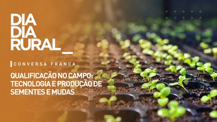 Qualificação no campo: tecnologia e produção de sementes e mudas