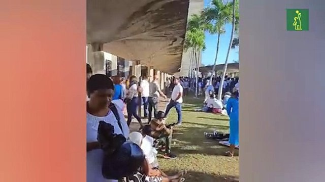 Celebración del Día de la Altagracia en la Basílica de Higüey