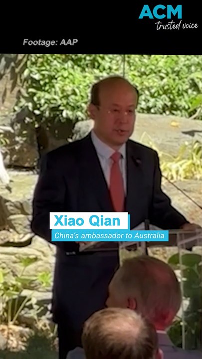 Giant pandas debut at Adelaide Zoo