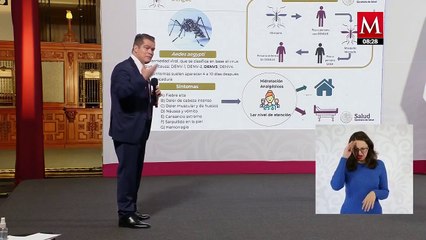 Presentan plan nacional para atender dengue y otras arbovirosis