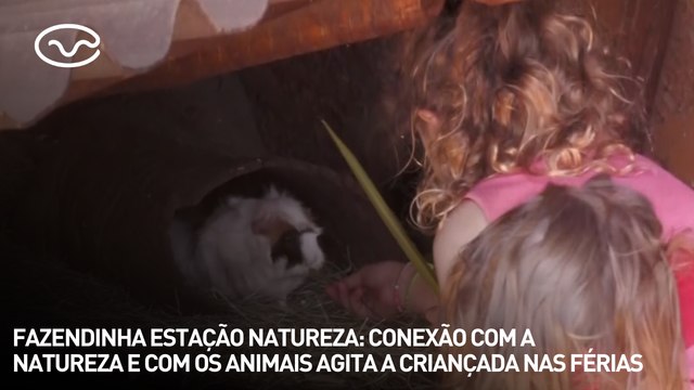 Fazendinha Estação Natureza: conexão com a natureza e com os animais agita a criançada nas férias