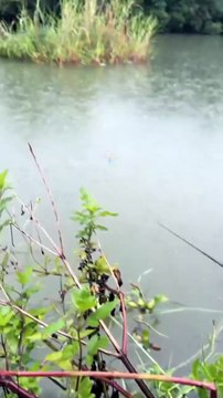 Today's Catch is Enough! Fun with Fishing Baits