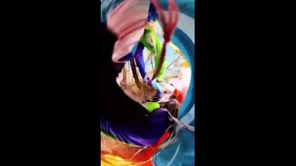 Top Vidéo de Sports Extrêmes : Action et Sensations Fortes