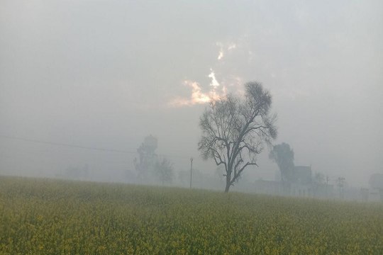 Rajasthan Weather : गुलाबी नगर में आज फिर बदला मौसम का मिजाज, बादल छाए