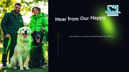 Dog-Boarding-Kennels-Auckland