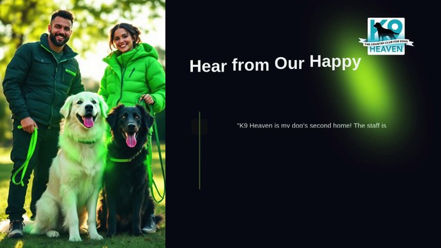 Dog-Boarding-Kennels-Auckland