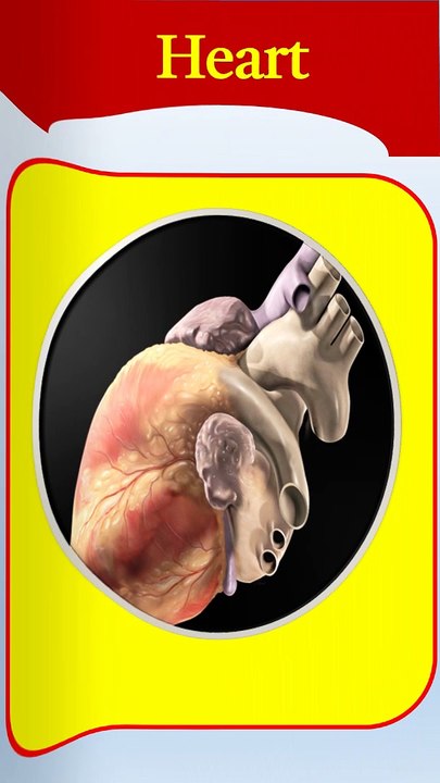 Heart health l ajay grammar techniques