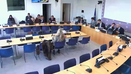 Commission des affaires européennes :  Rapport d'information sur le projet de loi d’adaptation au droit de l’Union européenne  - Mardi 21 janvier 2025