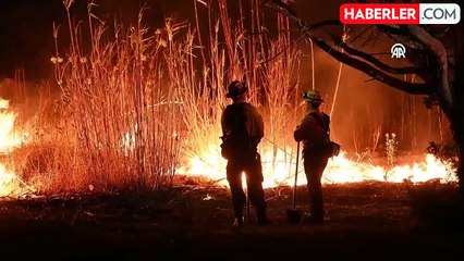 California'daki Orman Yangınlarında Ölü Sayısı 28'e Yükseldi