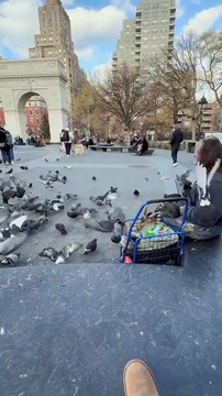 We noticed a flock of pigeons surrounding this man in the middle of the park. As we approached, we could tell that this man ha... these pigeons he fed them bird seed and they would listen to him.