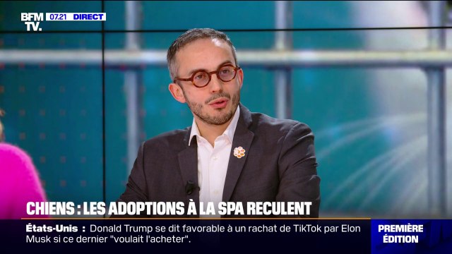 Abandons d'animaux en hausse: On est extrêmement liés à la mode , déplore le directeur général de la SPA