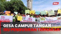 Kerajaan Selangor digesa campur tangan batal notis pengusiran ternakan