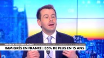 Nicolas Pouvreau-Monti : «La population immigrée en France a augmenté de plus d'un tiers en 15 ans»