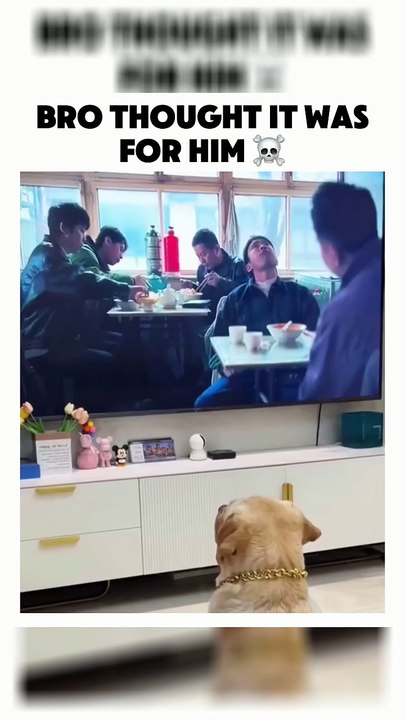 Adorable Doggo's Silly Surprise 😂
