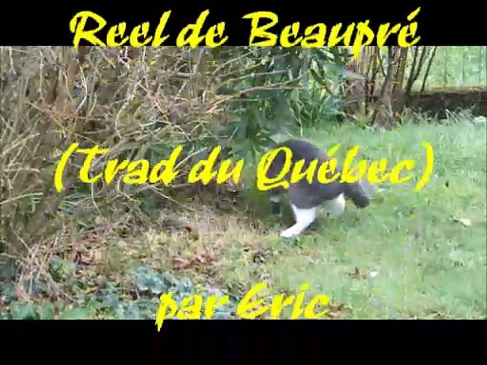 Chats