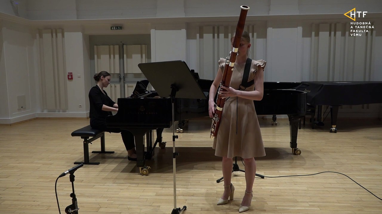 Jiří Pauer - Concert for Bassoon and Orchestra