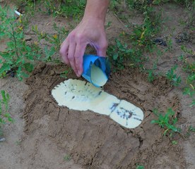 Practical daily tips to stay safe!