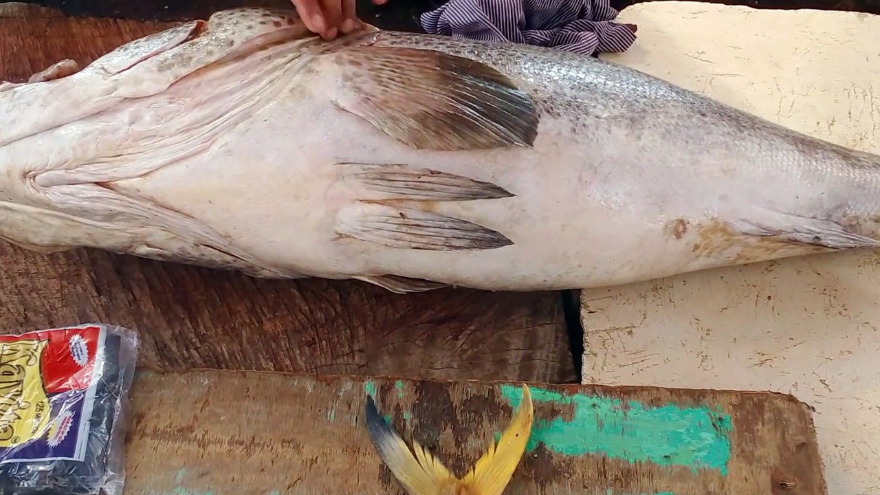 Big Red Grouper Fish Cutting at India Fish Market - SMN Fish Cutting