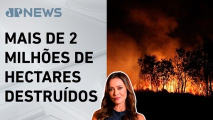 Queimadas em unidades de conservação batem recorde; Patrícia Costa analisa