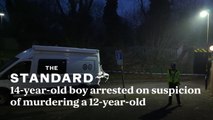 Boy, 14, arrested on suspicion of murder after 12-year-old stabbed to death