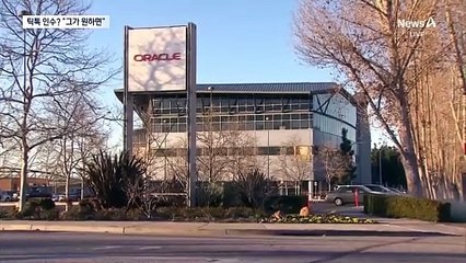 트럼프 “머스크가 틱톡 인수 원하면 허용”