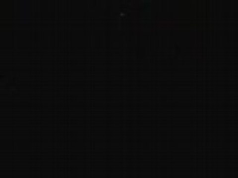 les demons de la connerie le