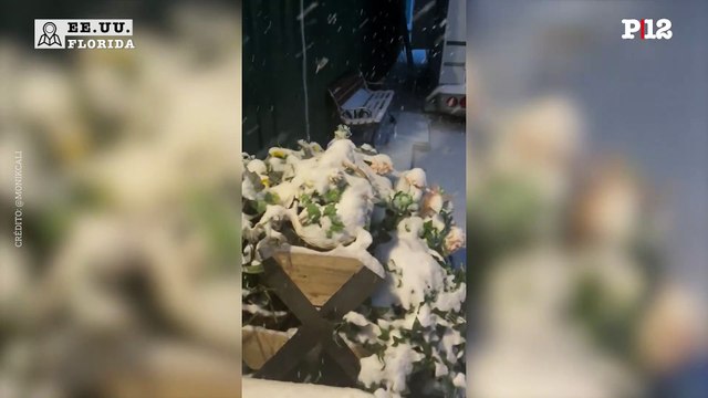 Histórica nevada en Florida: Así lo mostraron las redes sociales