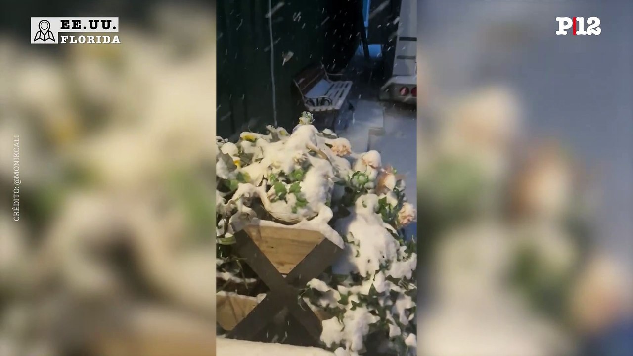 Histórica nevada en Florida: Así lo mostraron las redes sociales