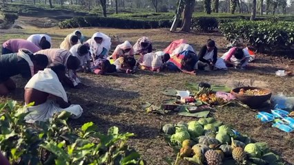 গোলাঘাটত হাতী মানুহৰ সংঘাতৰ বিপৰীতে দেখা গ'ল  হাতী মানুহৰ সহবস্থান। ক'ৰবাত যদি ভোকাতুৰ হাতীৰ বাবে যোগান ধৰিলে কলগছ আকৌ ক'ৰবাত শৰাই আগবঢ়াই যোগান ধৰিলে খাদ্য সামগ্ৰী।
