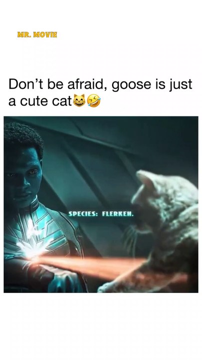 Hollywood Movie Scenes