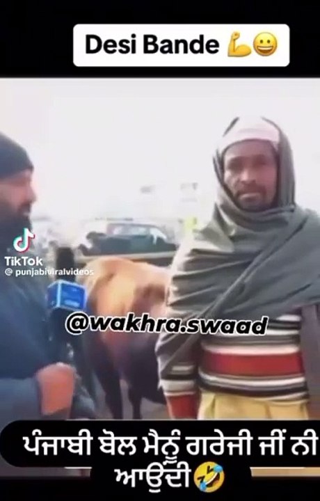 Funny video
